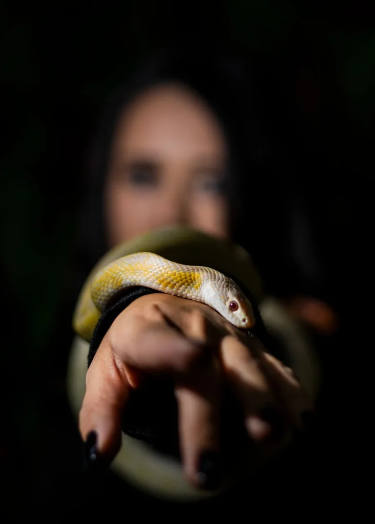 Symbolism of snakes in the Bible