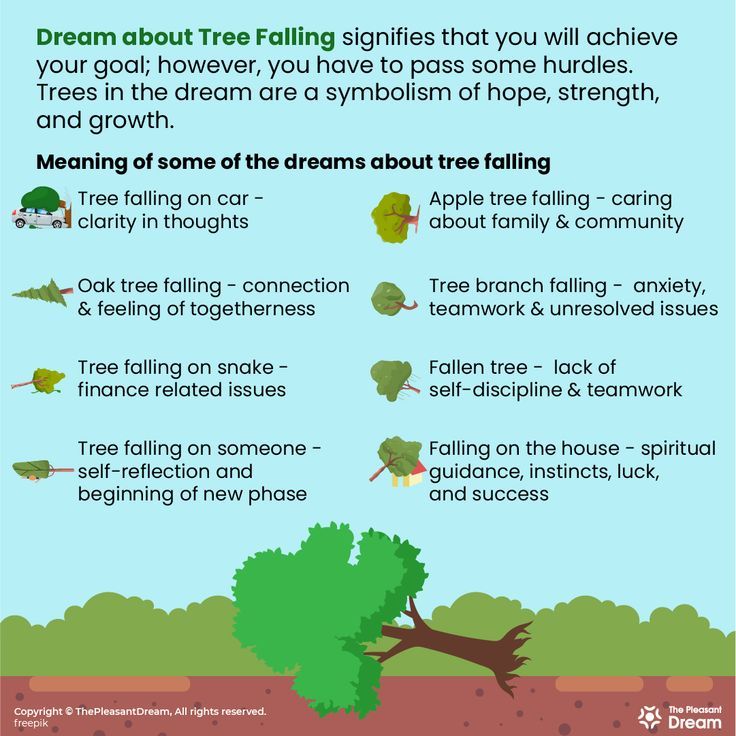 Biblical Meaning of Falling Trees in Dreams